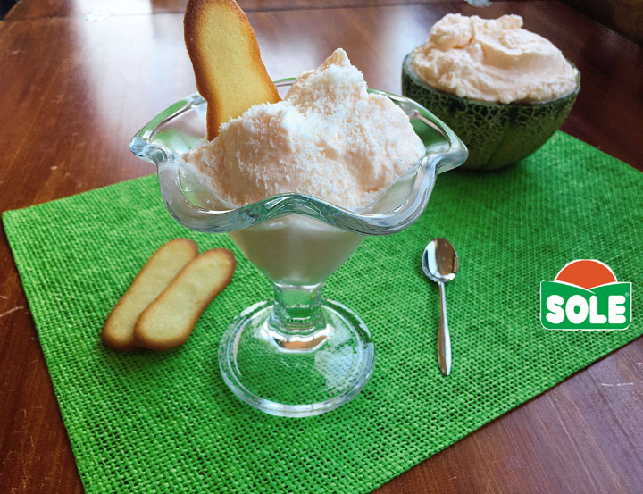 gelato al melone con lingue di gatto